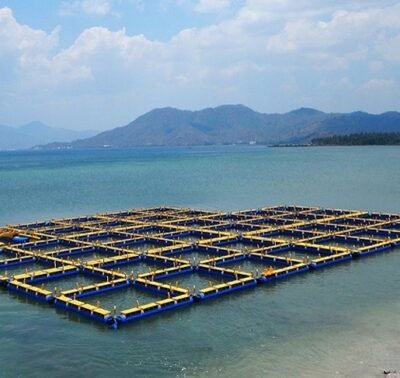Aquaculture photo archive · image 16