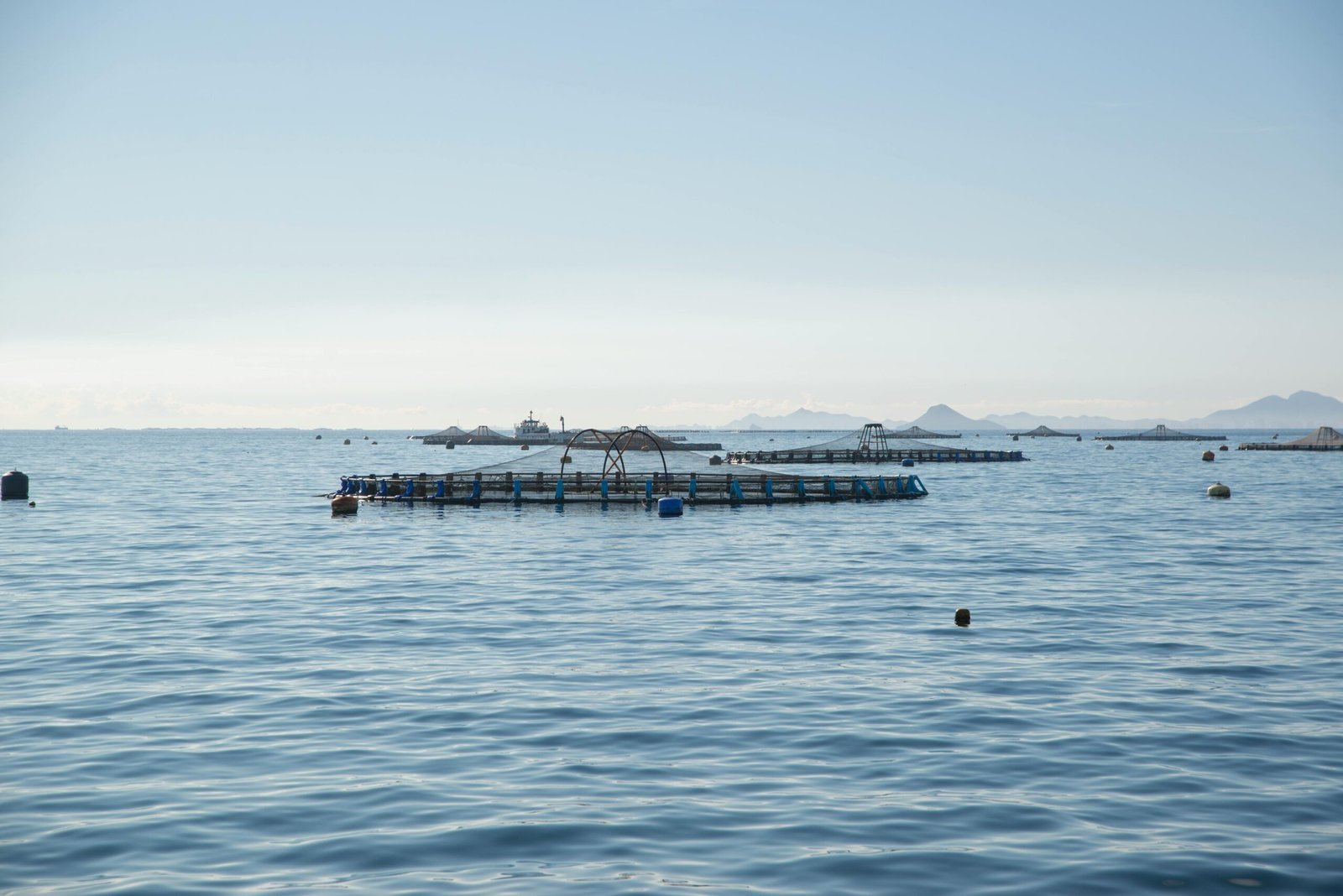 Cage culture aquaculture on a reservoir