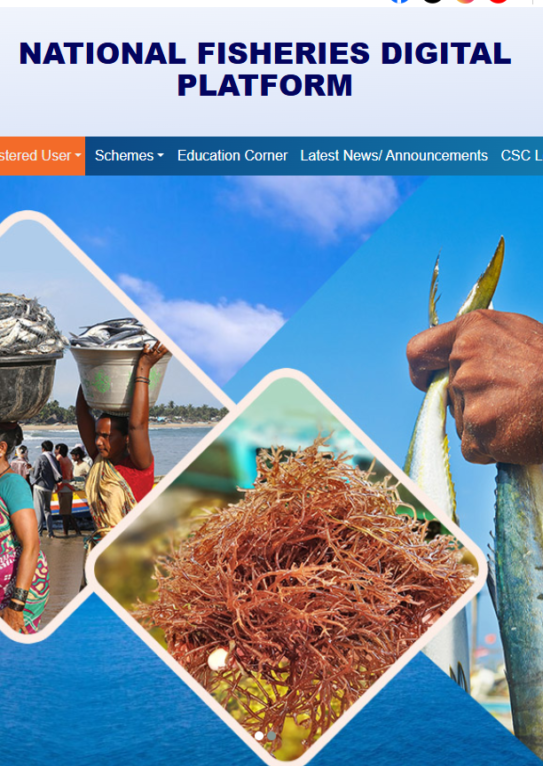 National Fisheries Digital Platform — reference image from the company website