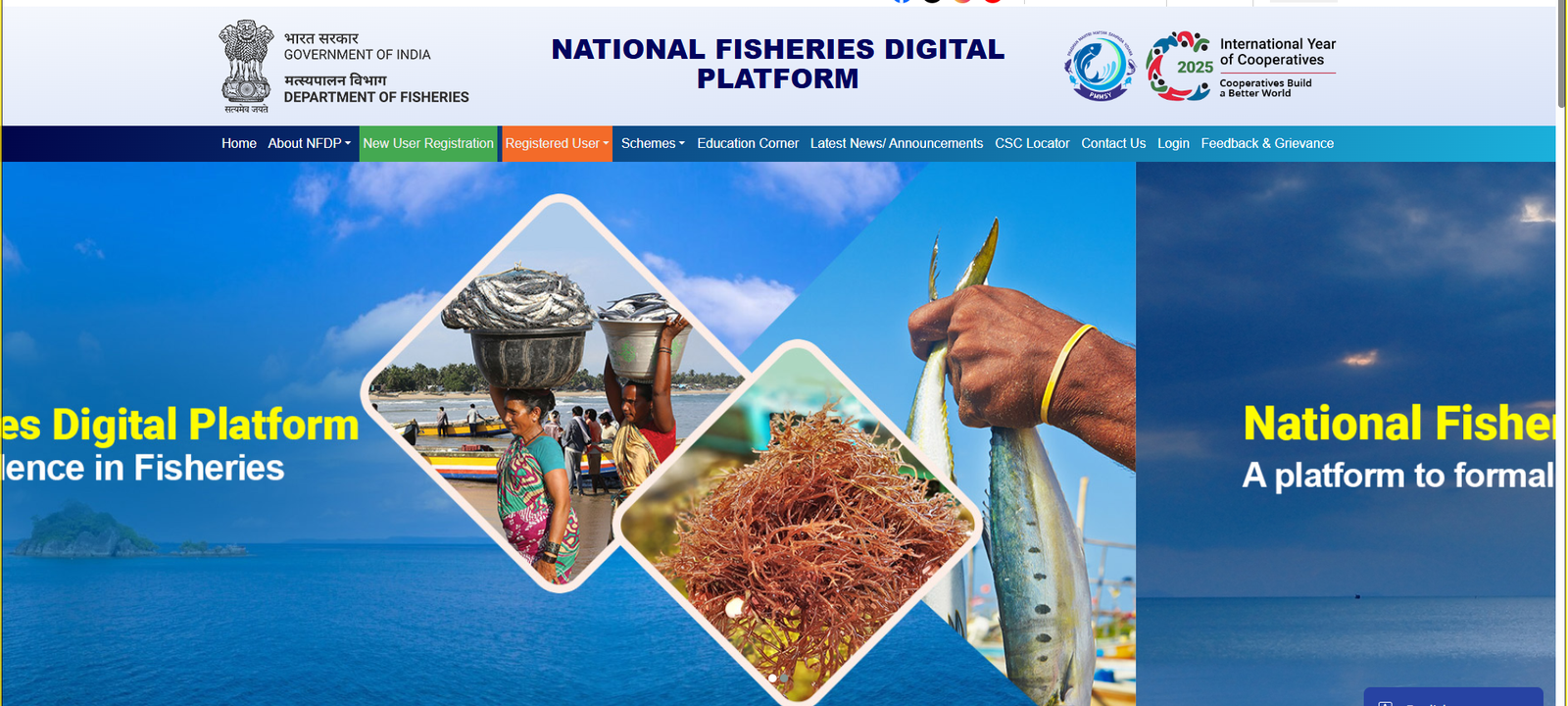 National Fisheries Digital Platform — original reference graphic